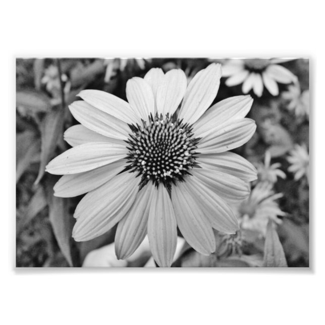 Expresiones Impresión fotográfica 5x7 (Frente)