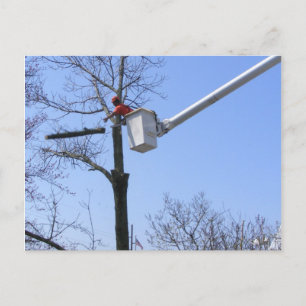 Extracción de árbol ~ postal