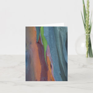 Extracto del árbol de goma del arco iris