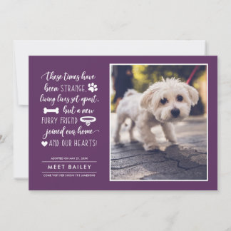 Extraña Invitación de foto de Mascota de Times New