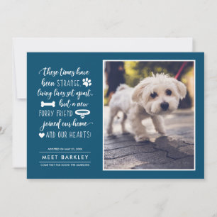 Extraña Invitación de foto de Mascota de Times New