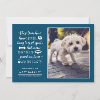Extraña Invitación de foto de Mascota de Times New