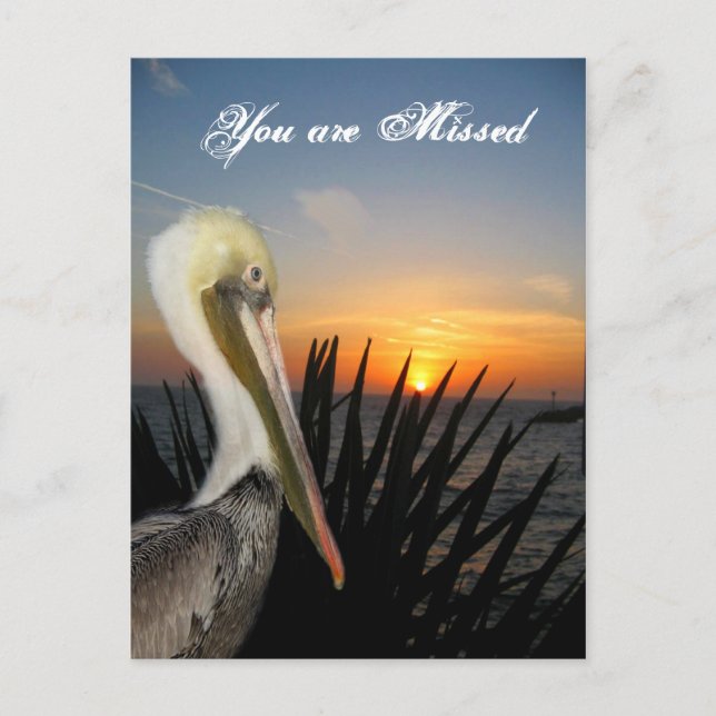 Extrañar la postal (Anverso)