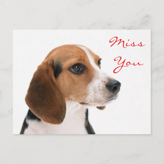 Extraño Beagle Puppy Perro Tarjeta De Saludo (Anverso)
