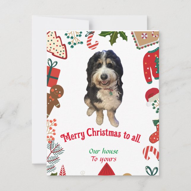Extraño perrito Bernedoodle Navidad tarjeta de vac (Anverso)