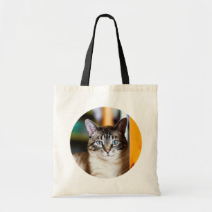 Extraño por completo de la bolsa de asas del gato
