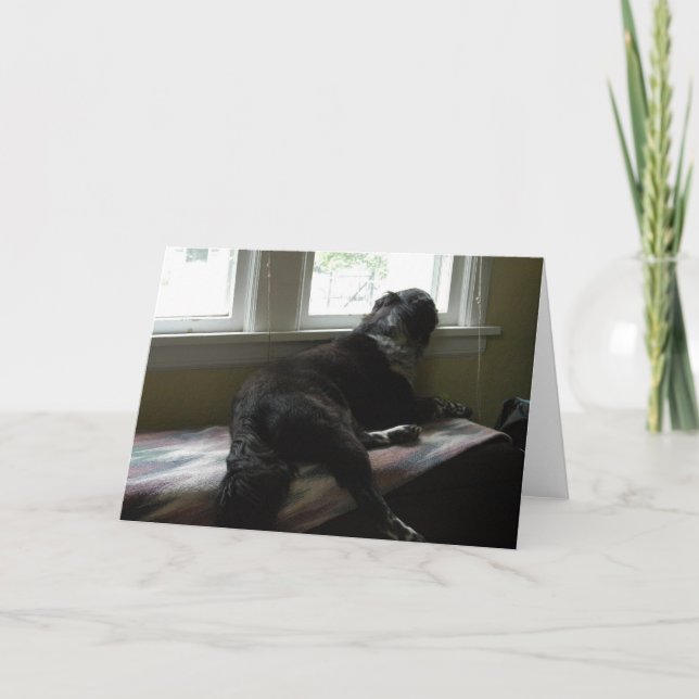 Extraño tarjeta (Anverso)