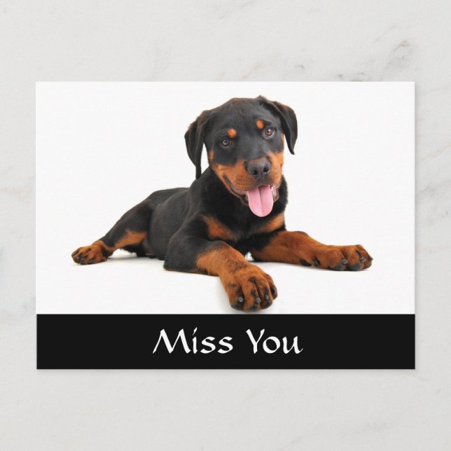 Extraño tarjeta postal de bienvenida de Rottweiler (Anverso)