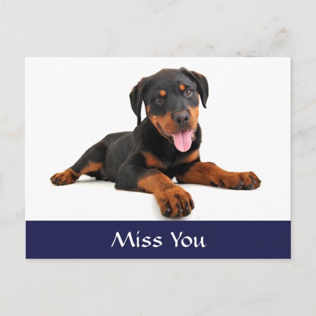 Extraño tarjeta postal de bienvenida de Rottweiler (Anverso)