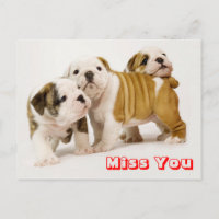 Extraño tarjeta postal de saludo de Perro con Cach