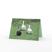 Extraño tarjeta - Salir