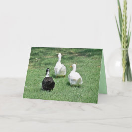 Extraño tarjeta - Salir