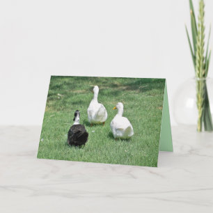 Extraño tarjeta - Salir