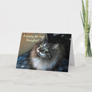 Extraño tu irresistible tarjeta de Zorro Cat