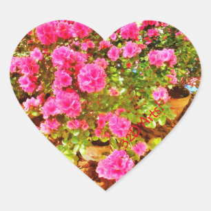 Extravagancia en el rosa, pegatinas del corazón,