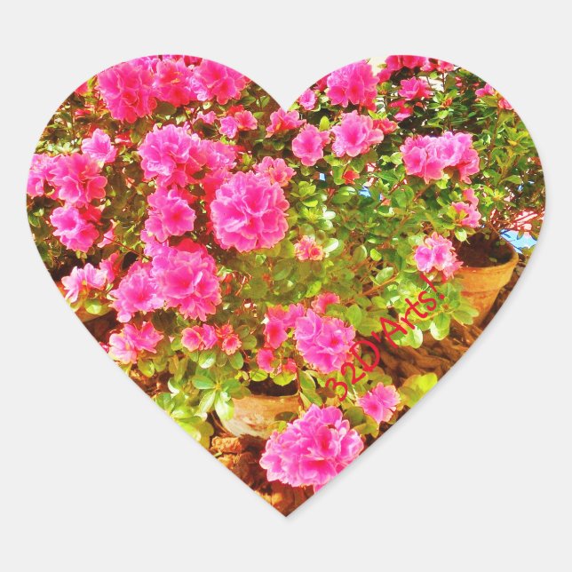 Extravagancia en rosa, Pegatinas del corazón, bril (Anverso)