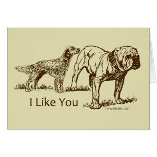 Extremo de las aspiraciones del perro