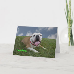 ¡Ey bebé!  Tarjeta de cumpleaños del bulldog