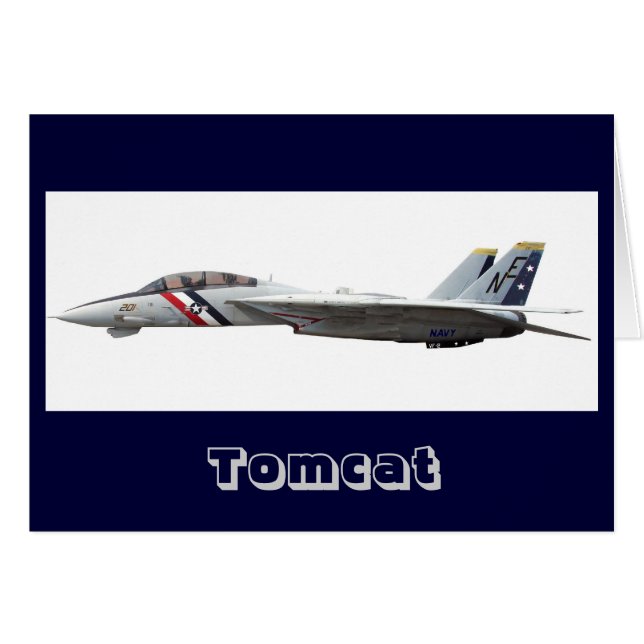 F14, Tomcat (Anverso (Horizontal))