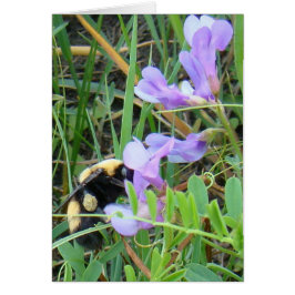 F2 Bee sobre flores silvestres moradas