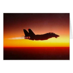 F-14 TOMCAT EN LA CARRETERA