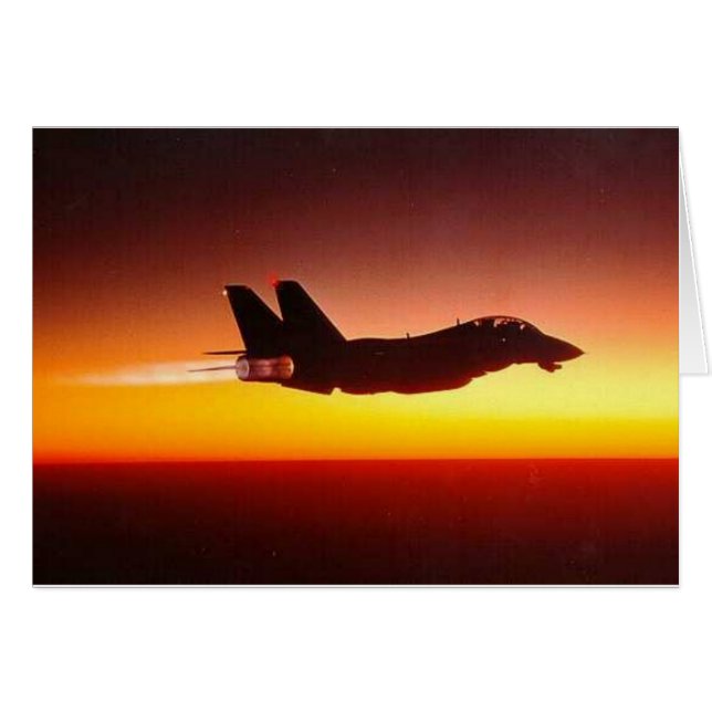 F-14 TOMCAT EN LA CARRETERA (Anverso (Horizontal))