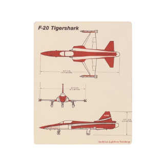 f-20 arte mural metalizado tigershark