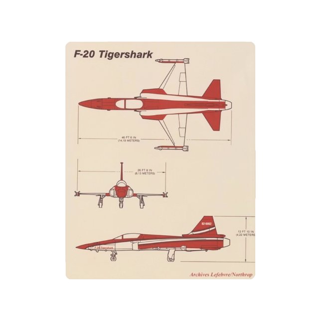 f-20 arte mural metalizado tigershark (Anverso)