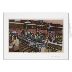 Fábrica de clasificación y empaquetado y trabajado