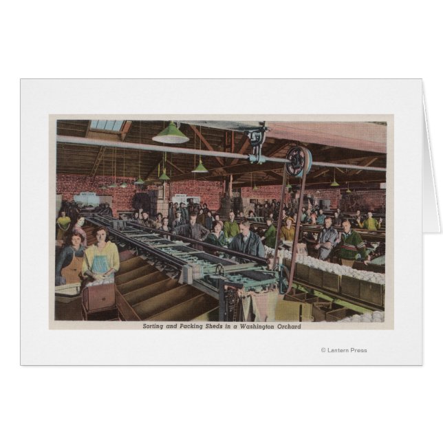 Fábrica de clasificación y empaquetado y trabajado (Anverso (Horizontal))