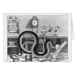 Fábula de la serpiente y de los ficheros