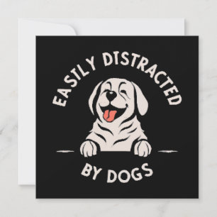 Fácilmente distraído por perros