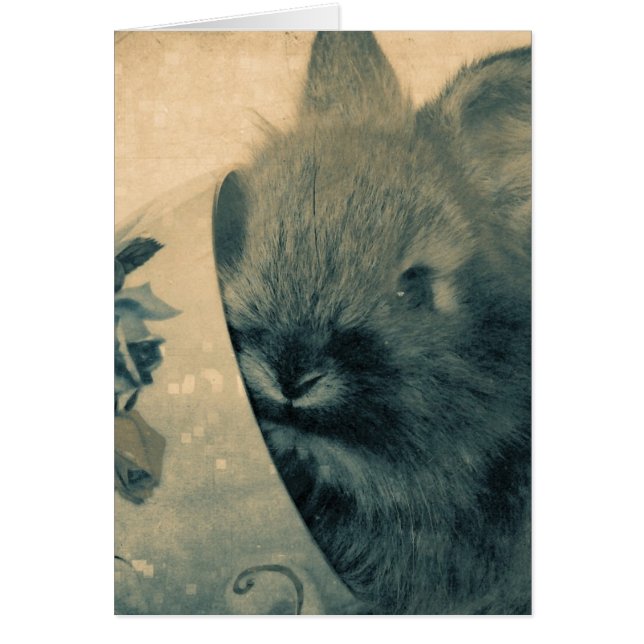 Faded Old Bunny Photo All Occasis (Frente)