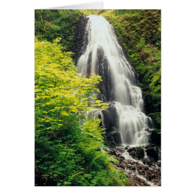 Fairy Falls (Frente)