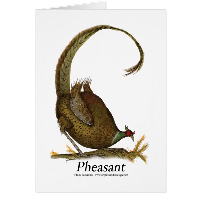 faisán, fernandes tony (Frente)