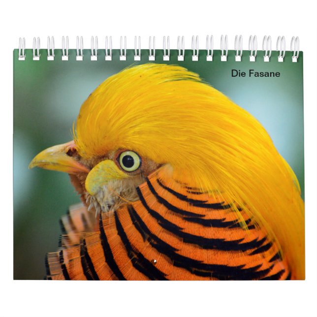 Faisanes como calendarios (Tapa)