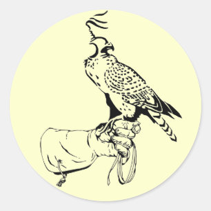Falcon en Glove Pegatina
