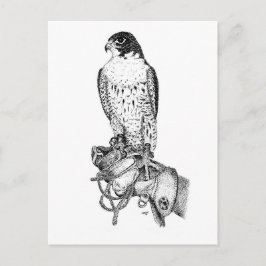 Falcon peregrino en postal de bloque