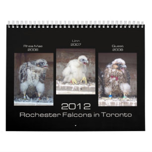 Falcons 2012 de Rochester en el calendario de