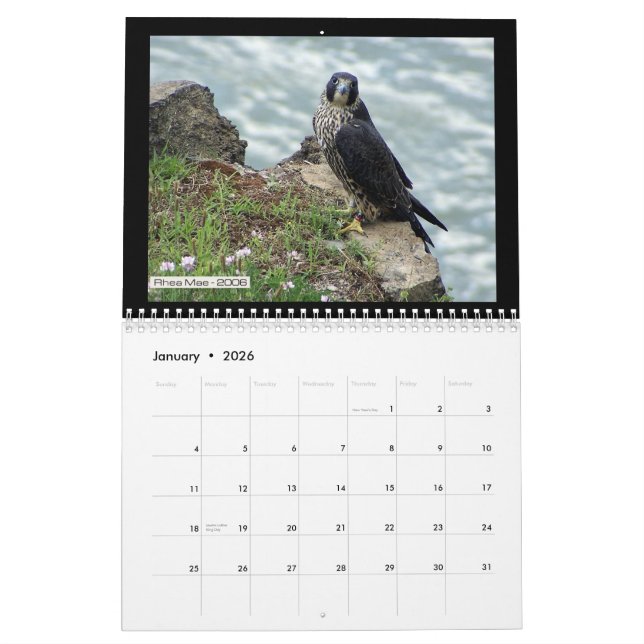 Falcons 2012 de Rochester en el calendario de (Jan 2026)