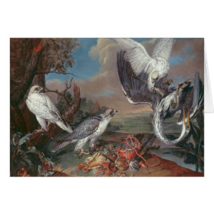 Falcons de Groenlandia Cyr