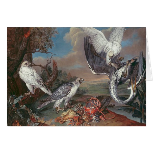 Falcons de Groenlandia Cyr (Anverso (Horizontal))