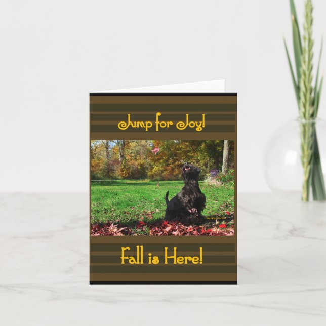 Fall Bliss (Anverso)