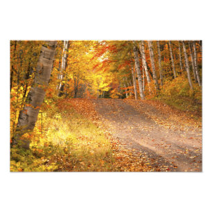 Fall Foliage Rural Road U.P. Fotografía de Michig
