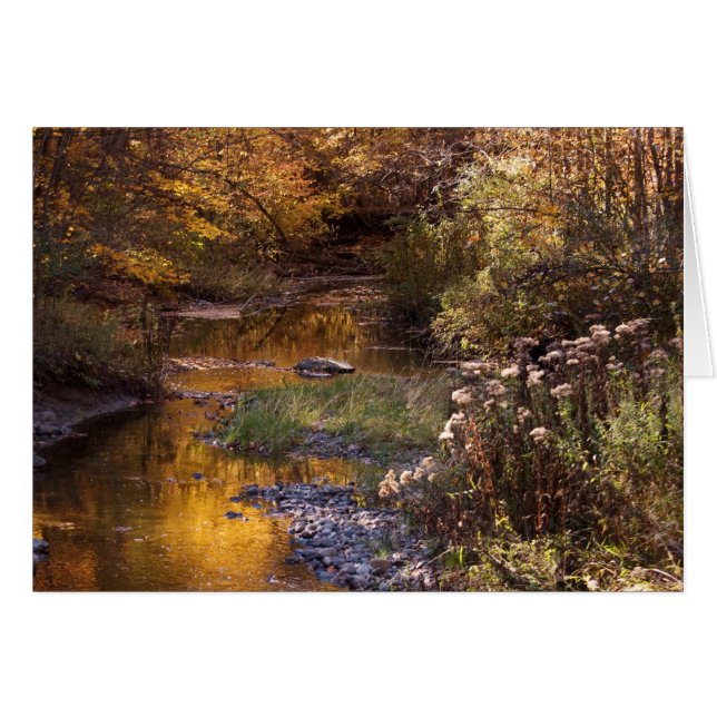 Fall River (Anverso (Horizontal))