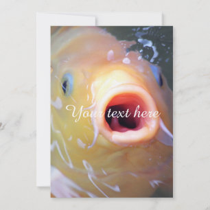 Fallín canta al fantasma Koi