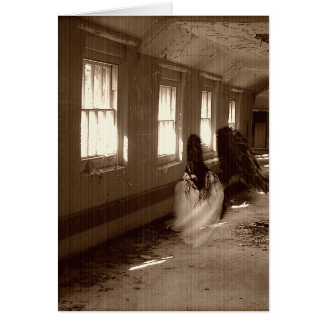 Falln Asylum Angel (Frente)