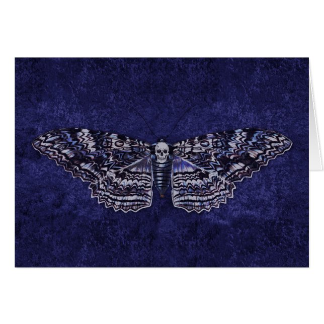 Falln Deathshead Moth (Anverso (Horizontal))