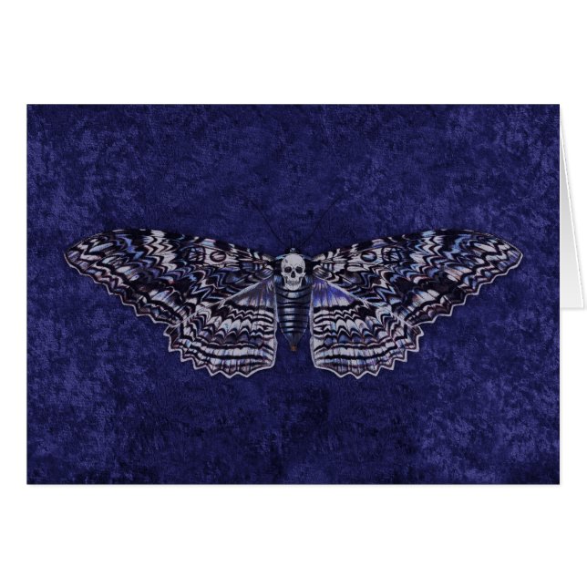 Falln Deathshead Moth (Anverso (Horizontal))