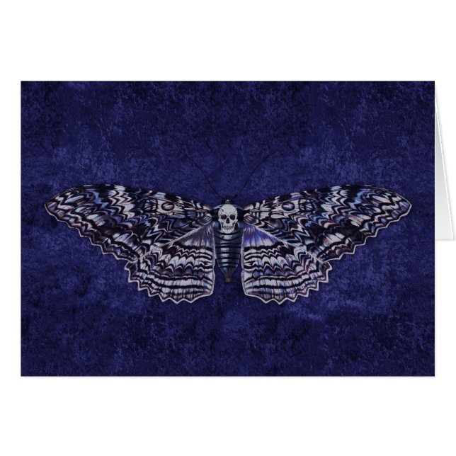 Falln Deathshead Moth (Anverso (Horizontal))